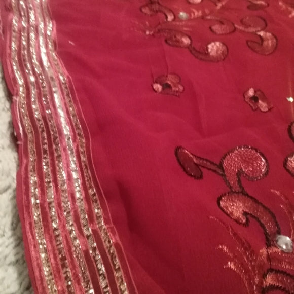 Red Chiffon Saree with Golden Border (India) - Picture 6 of 6